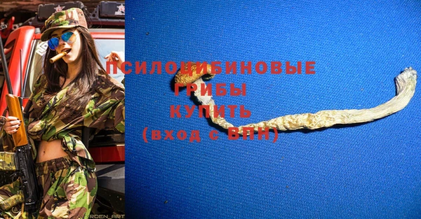 spice Алексеевка